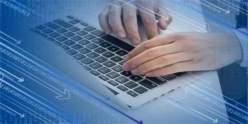 信息技術服務逆勢領漲，新IT持續引領數字化破局