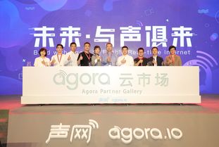 從技術(shù)服務(wù)到生態(tài)共創(chuàng) 聲網(wǎng)Agora攜手合作伙伴共建RTC新未來