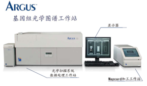 全基因組光學圖譜分析系統(tǒng) 數(shù)據處理的核心技術與應用